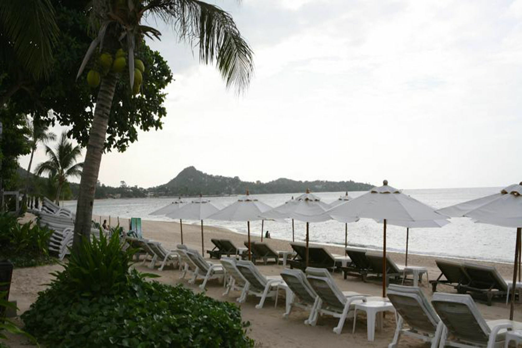 Samui Jasmine Resort