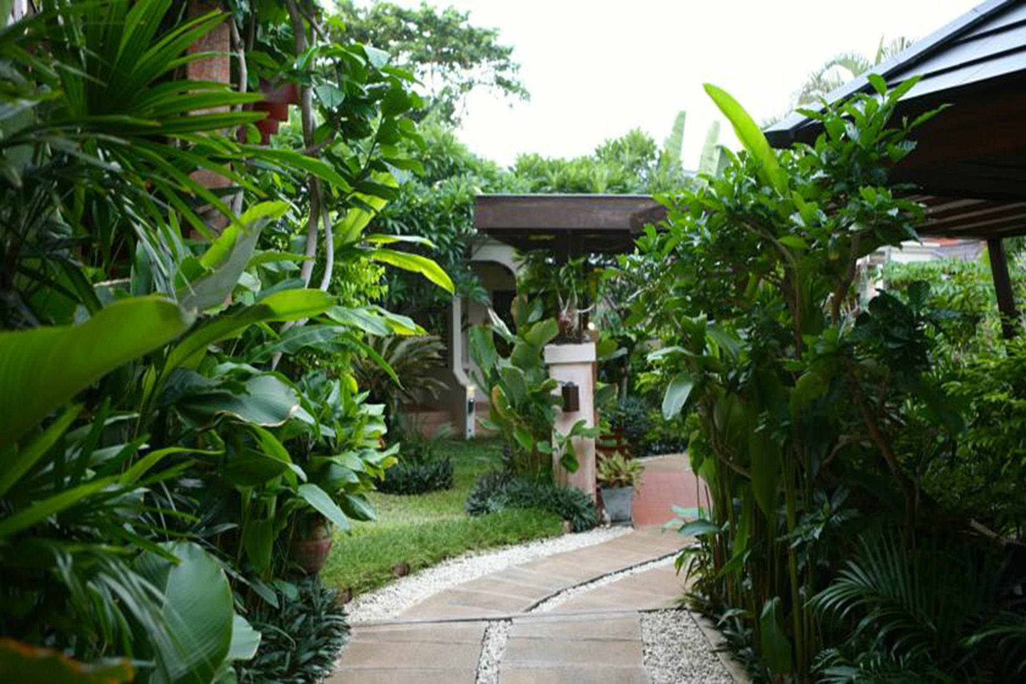 Samui Jasmine 4*